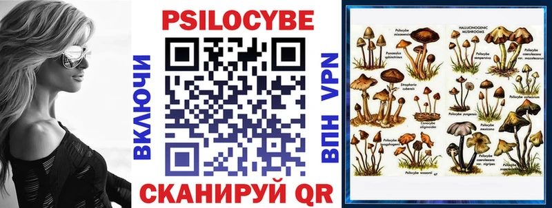 Псилоцибиновые грибы MAGIC MUSHROOMS  сколько стоит  Суровикино 